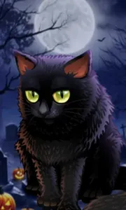 Spooky Halloween